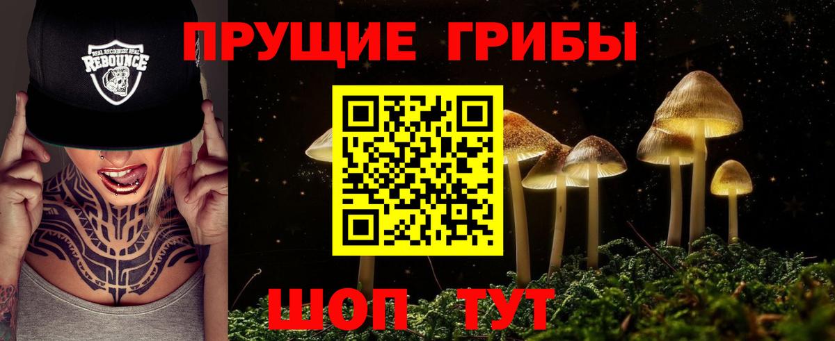 Амурск  Галлюциногенные грибы GOLDEN TEACHER  дарнет шоп  Вход с VPN 
